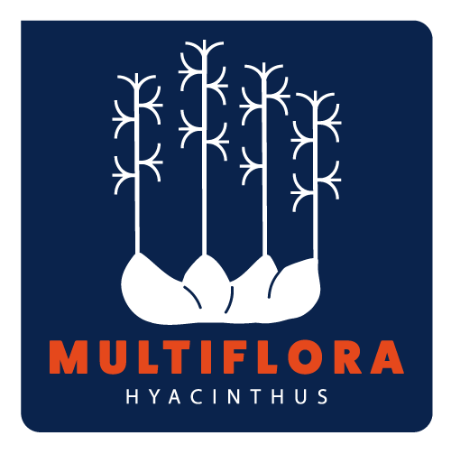 Multiflora