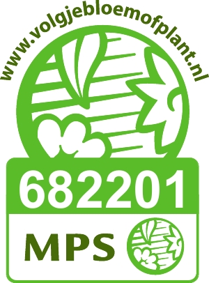 Vignet MPS ABC NL 682201 2